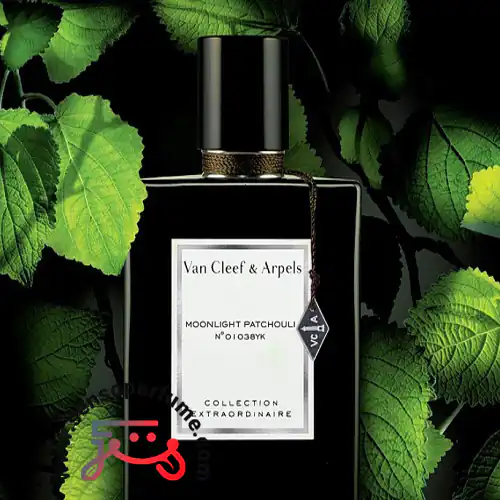 عطر ادکلن ون کلیف اند آرپلس مونلایت پچولی